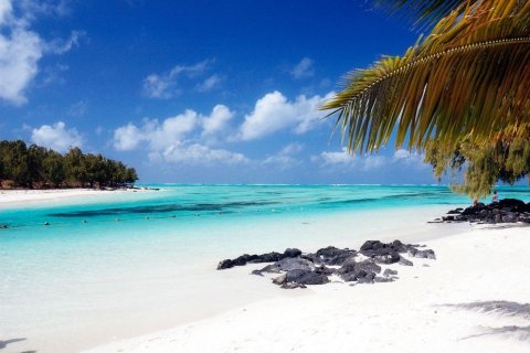 Mauricio Isla